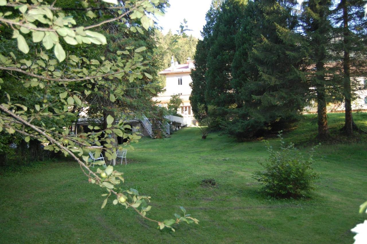 Joly Saint Sauveur Bed & Breakfast Villard-Saint-Sauveur Exterior photo